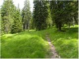 San Martino - Rifugio Malga Pala